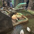 애원식당 | “주렁주렁 하남점” 아기랑 내돈내산 주말방문 후기