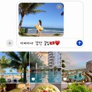 월요일 자율탁구(오후) | 나트랑 아미아나 깜란 리조트 수영장, 조식, 애프터눈 티 솔직후기 + 꿀팁 (2026)