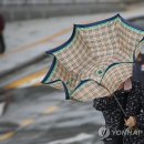 청다한 이미지