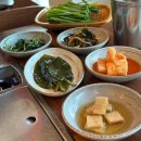 산채마을 능이백숙 이미지