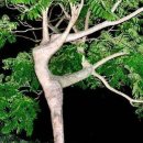 제일주유소 공중화장실 이미지