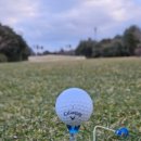 서귀중앙골프연습장 이미지