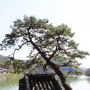 환산정 이미지