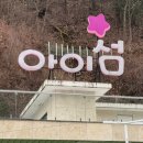 북면115 | 가평 애견동반가능 글램핑장 [아이섬 풀 글램핑]트라이콩B숙박후기