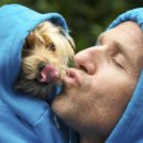 펫 매니저 이미지