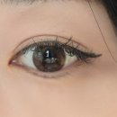 아이컬렉션 위드렌즈 연제구청점 | 아이컬렉션위드렌즈부산연제구청점 허니원데이 브라운 원데이 픽업 후기!