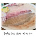 울산횟집 회뜨는 김선장 유곡점 가성비 맛집 내돈내산 후기