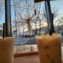 가비에떼 이미지