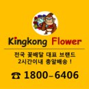 킹콩플라워 이미지