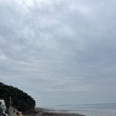 단지식당 | 천북굴단지 굴찜 &#39;등대식당&#39; 후기