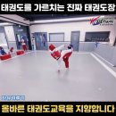 효단태권도장 네이버블로그