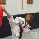 우솔태권도 이미지