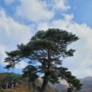 큰솔가든 이미지