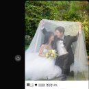 국화살롱 | 모바일청첩장 셀프제작 추천 종류 많은 살롱드레터 후기