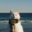 연제구-188 | 2025년 11월 일상 결산