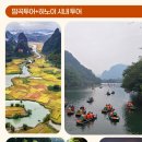 로얄베트남