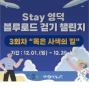 로드스테이 이미지