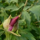 조해영농장 이미지