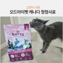 오드아이펫 | 고양이사료추천 오드아이펫 캐나다 청정지역 bezzy 제품 리뷰