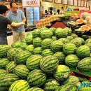 한국마트야채청과