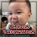 밥풀과학 | 아직도 숟가락으로 떠먹여 주시나요? 아이의 두뇌 발달을 엄마가 막고 있다는 증거