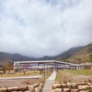 오차드 | 울산 배꽃 오차드힐베이커리카페 개화 상태 후기