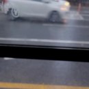 츠하오 이미지