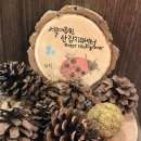 [산림치유]서울대공원 산림치유센터 겨울철 프로그램 &#39;걸어, 봄&#39; 후기