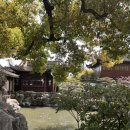 예원화초&예원 | [상하이 여행 필수코스] 예원 낮과 밤 완전 정복❣️전통미와 야경 모두 즐긴 솔직 후기