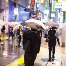 강수량 100밀리미터는 어느 정도일까? 경시청의 ‘예시’가 ‘끔찍하고’ ‘오싹하다’【태풍 6호】 이미지