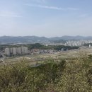 호수공원1 이미지
