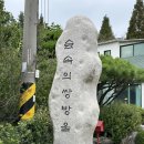 숲속에는 | 김포 카페 : 고요함이 매력적인 ‘숲속의 쌍방울’ 내돈내산 후기