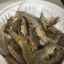 대복수산직판장 | 평택 대하맛집 “무안수산 대하 직판장” 싯가 포장 후기