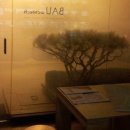 BAU History 를 정리하다.
