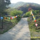 충효재동 Daum카페