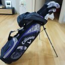 서진골프연습장 이미지