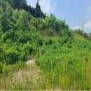 운천2리 이미지