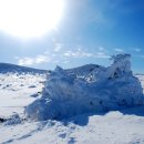 제주의사계 이미지