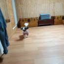 예산 위드엔젤 이미지