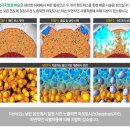 연세참의원