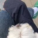보사노바로스팅팩토리