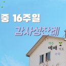 연중 16주일 감사성찬례 - 7월 18일, 2021년 이미지