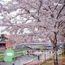 탄천 엑스파크공원 이미지