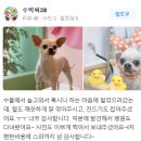 패밀리앤퍼피 이미지