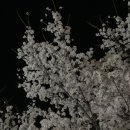 뚜레쥬르(이천터미널점)