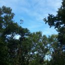 고담농장 이미지