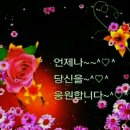 산사랑산약초 이미지