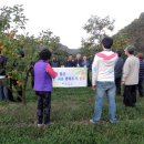 팔음농장 이미지