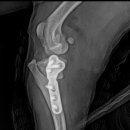 하랑메디컬 이미지