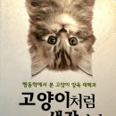 마이북스n